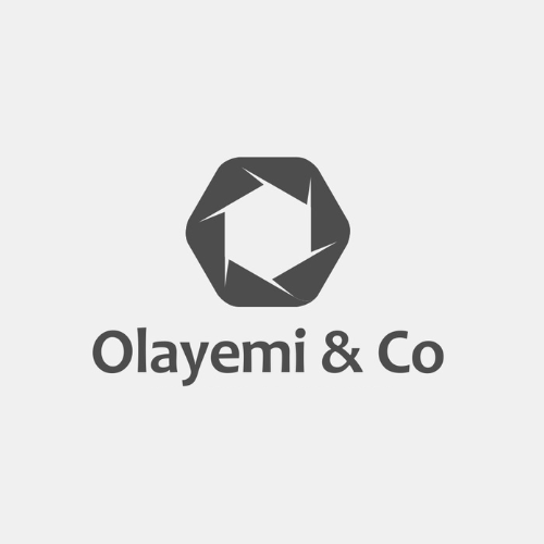 olayemi-&-co-logo-white