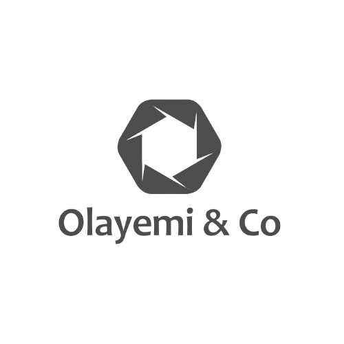 olayemi-&-co-logo-white.